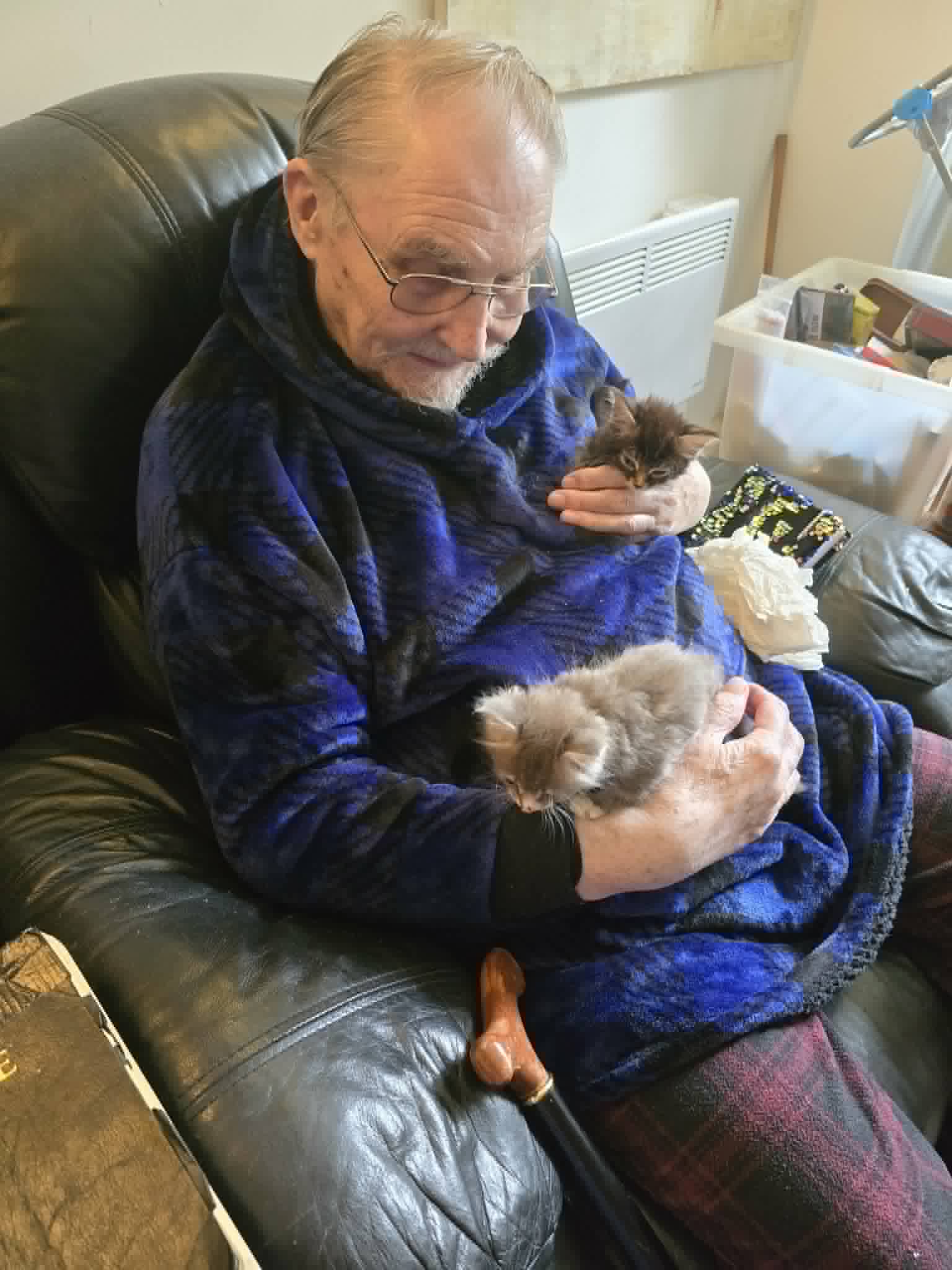 Dad meeting kittens